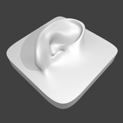 Human Ear preview image
